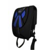 Wings Skydiving Container