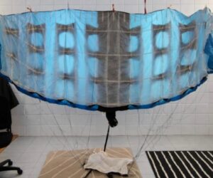 Used PD Valkyrie Main Canopy 71