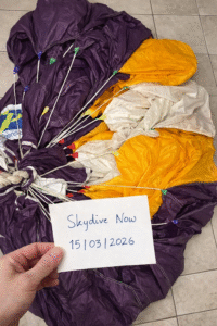 Aerodyne Pilot 119 9 cell Main canopy