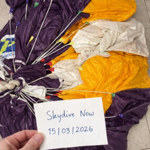 Aerodyne Pilot 119 9 cell Main canopy